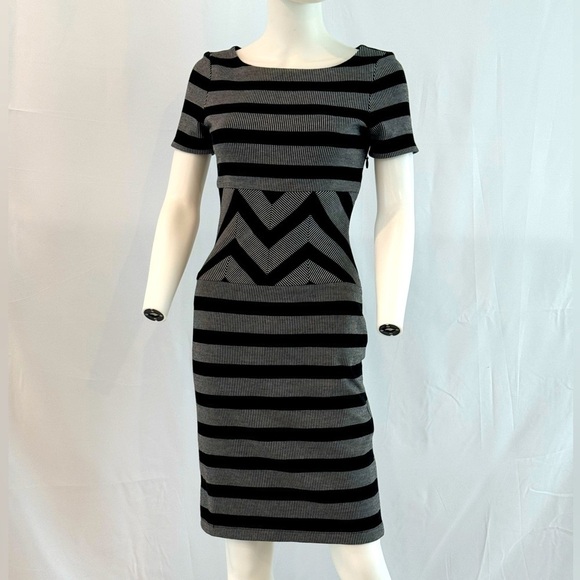 BCBGMaxAzria Dresses & Skirts - BCBG MaxAzria Roslyn Belted Gray Striped Trimmed A-line Dress